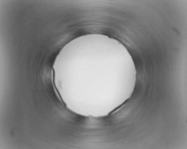 X0000115410141200911241335