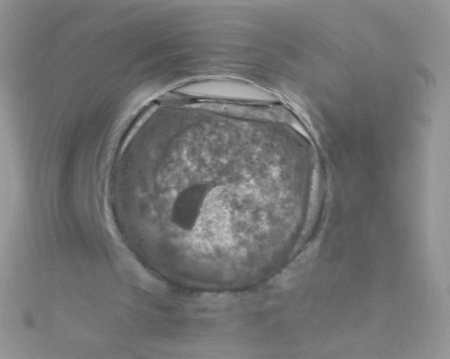 X0000115410145200911241335