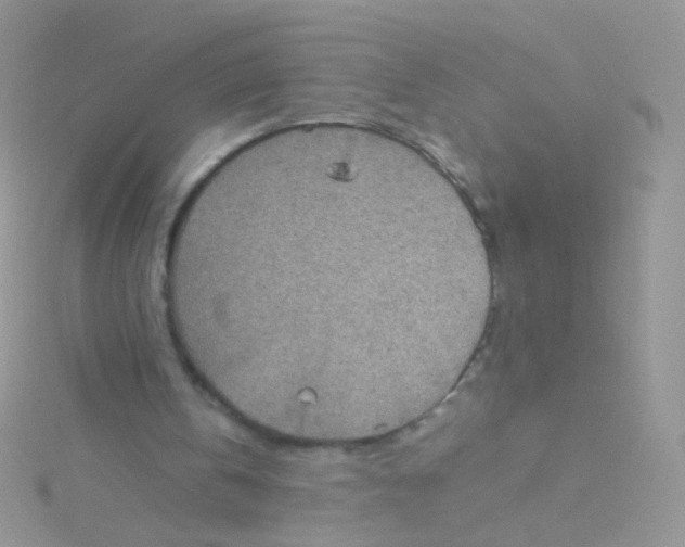 X0000115410146200911241335