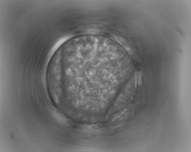 X0000115410147200911241335