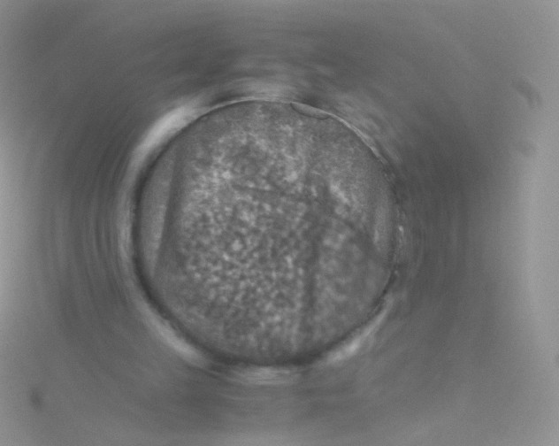 X0000115410149200911241335