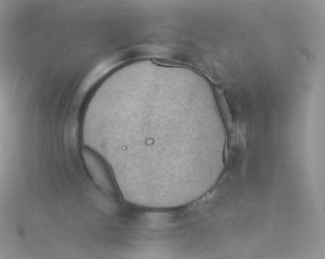 X0000115410150200911241335