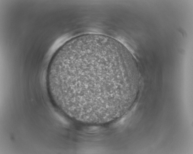 X0000115410151200911241335