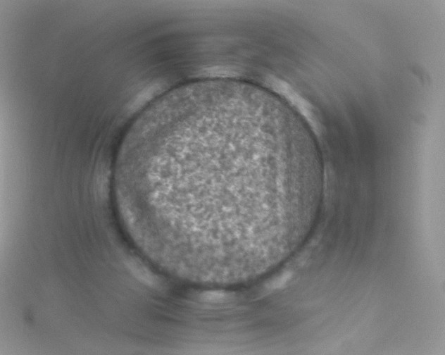 X0000115410153200911241335