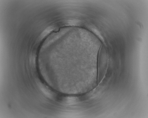 X0000115410154200911241335