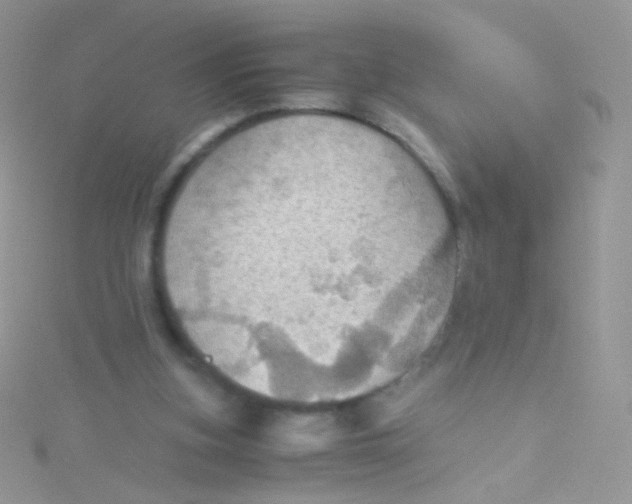 X0000115410155200911241335