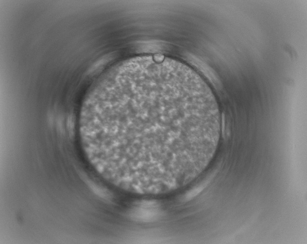 X0000115410157200911241335