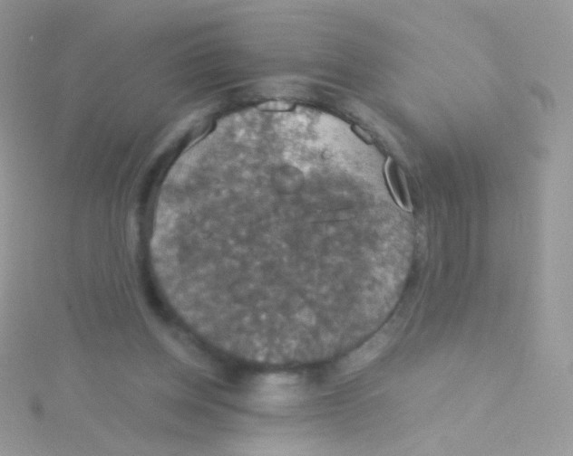 X0000115410158200911241335