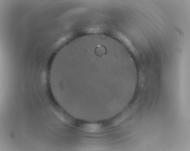 X0000115410161200911241335