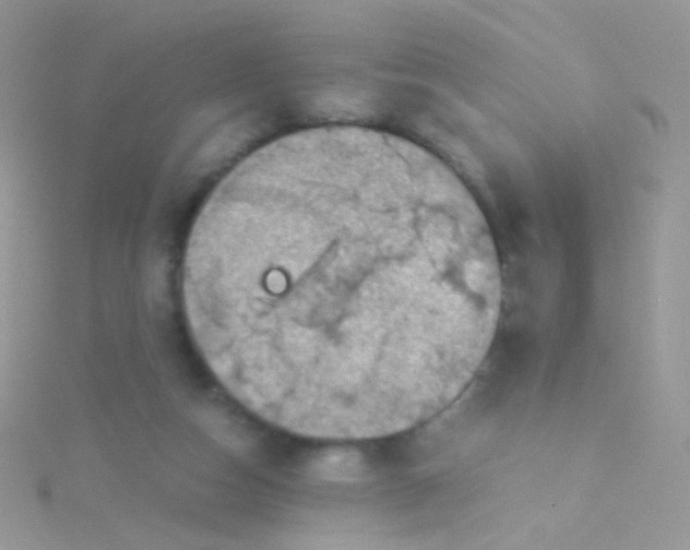 X0000115410162200911241335