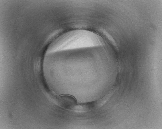 X0000115410163200911241335