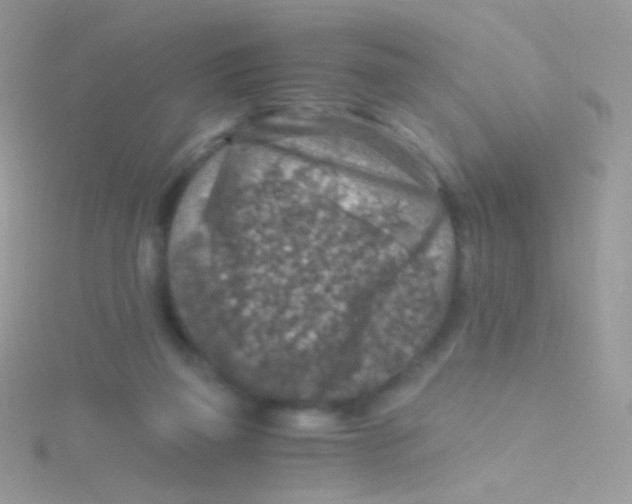 X0000115410165200911241335