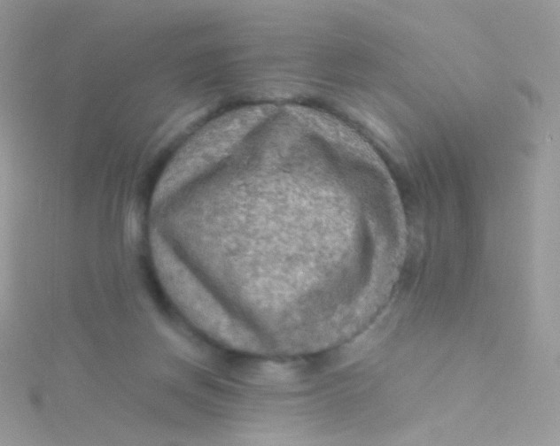 X0000115410166200911241335