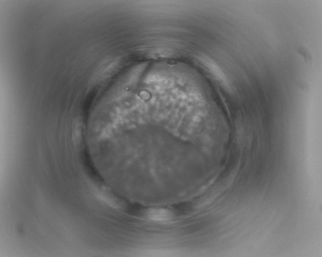 X0000115410169200911241335