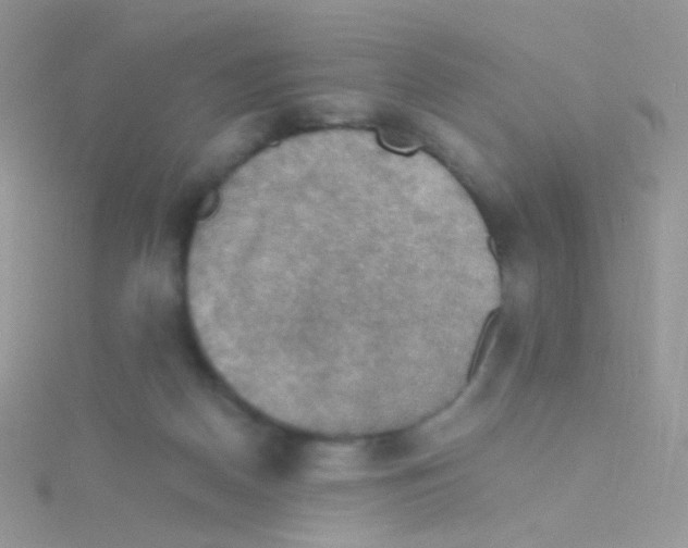 X0000115410170200911241335