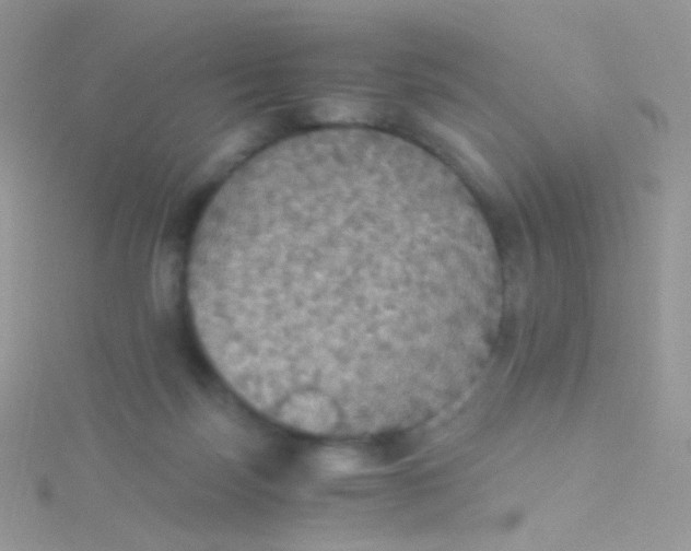 X0000115410171200911241335