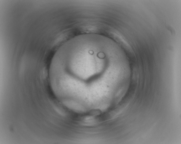 X0000115410173200911241335