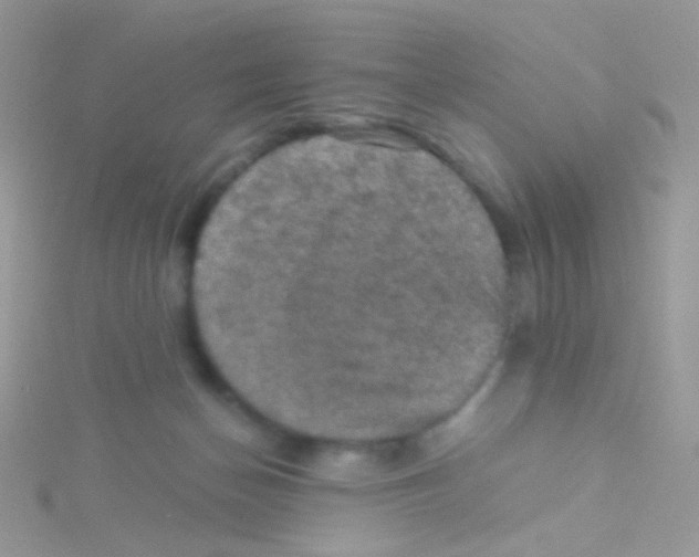 X0000115410174200911241335