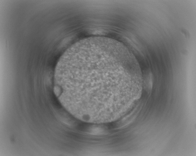 X0000115410175200911241335