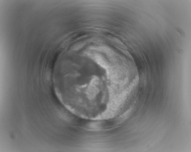 X0000115410178200911241335