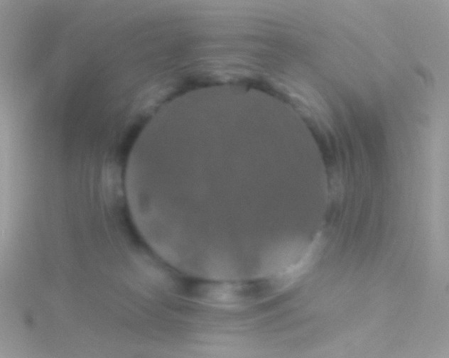 X0000115410182200911241335