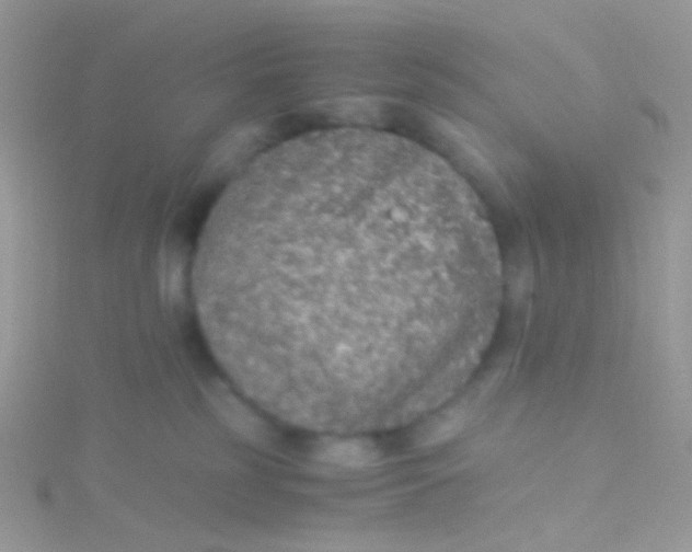 X0000115410185200911241335