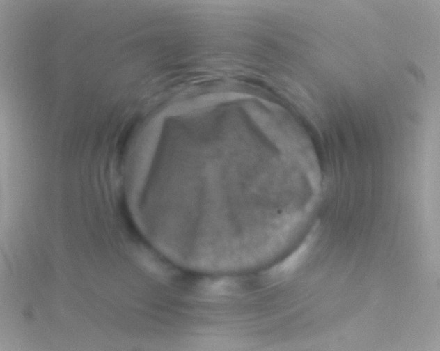 X0000115410186200911241335