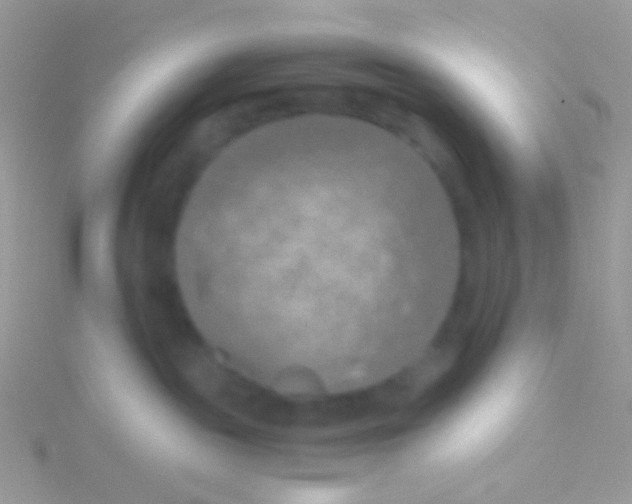 X0000115410189200911241335