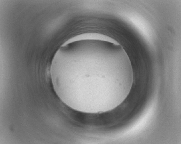 X0000115410190200911241335