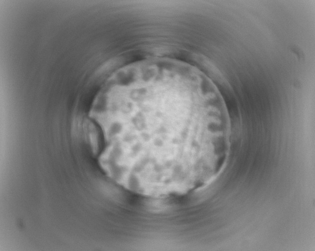 X0000115410191200911241335