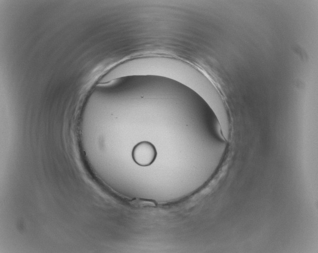 X0000115410193200911241334