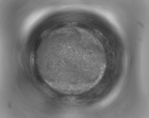 X0000115410194200911241334