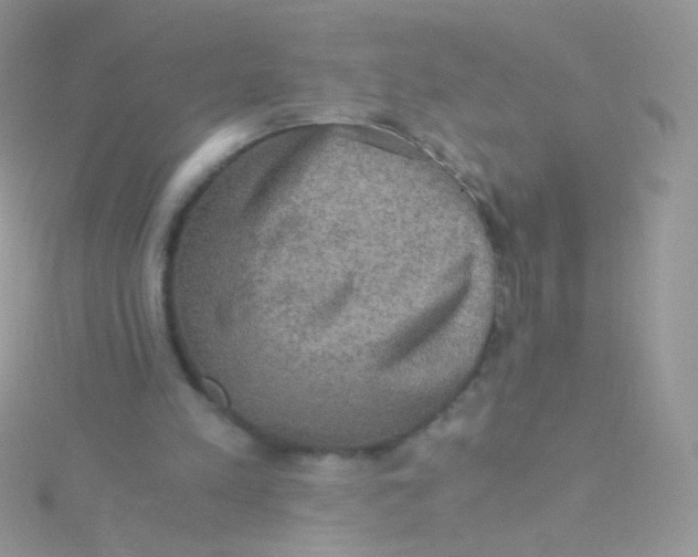 X0000115410197200911241334