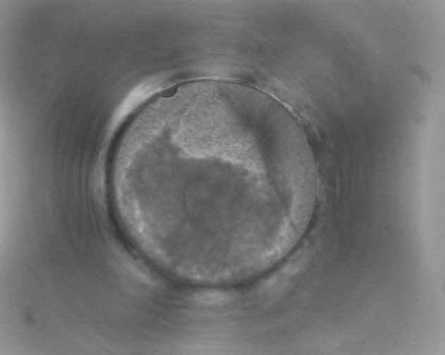 X0000115410198200911241334