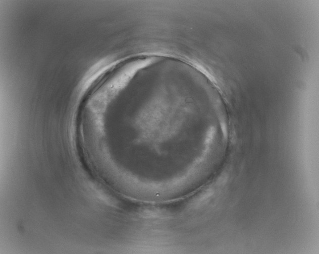 X0000115410199200911241334