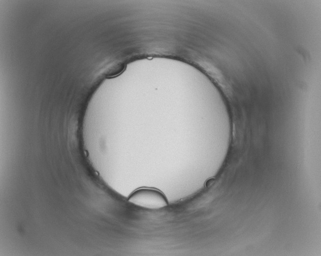 X0000115410201200911241334