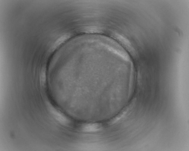 X0000115410202200911241334