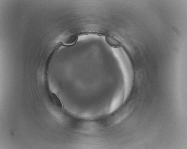 X0000115410203200911241334