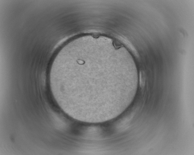 X0000115410204200911241334