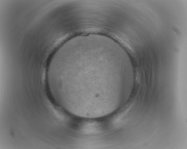 X0000115410206200911241334