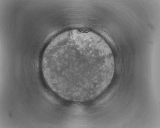 X0000115410207200911241334