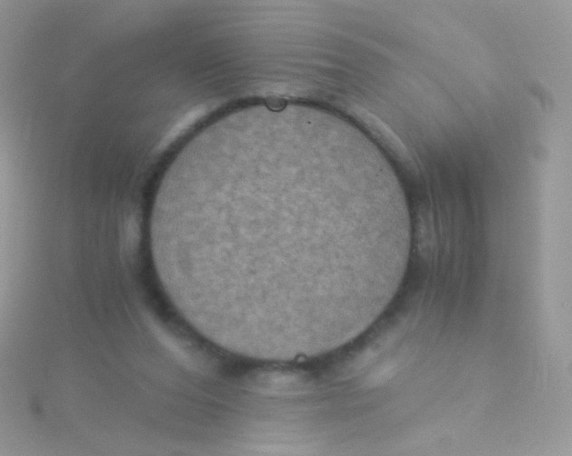 X0000115410208200911241334