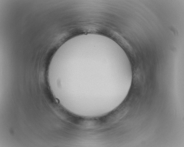 X0000115410209200911241334