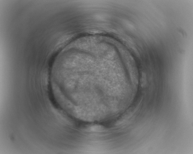 X0000115410210200911241334