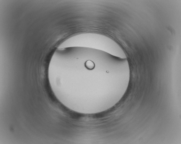 X0000115410211200911241334