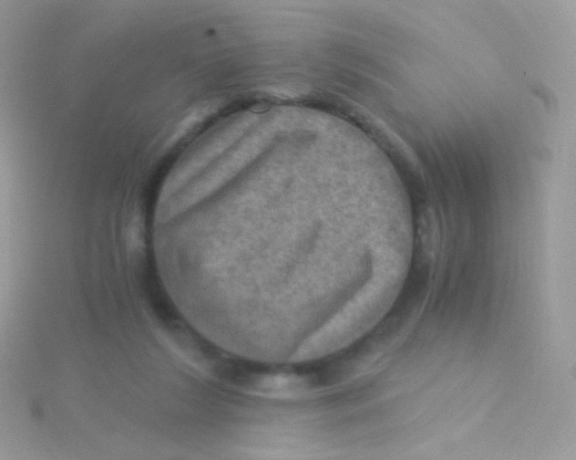 X0000115410212200911241334