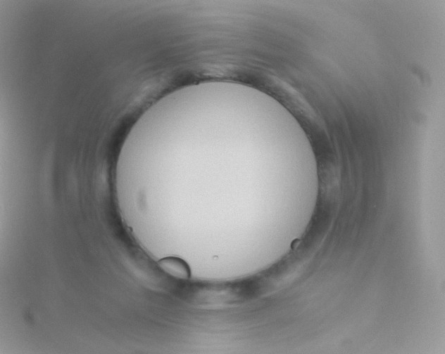 X0000115410213200911241334