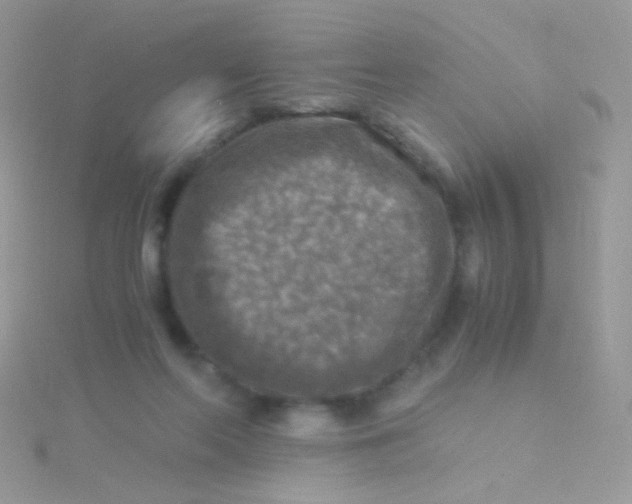 X0000115410214200911241334