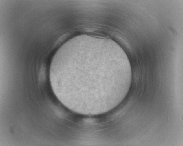 X0000115410216200911241334