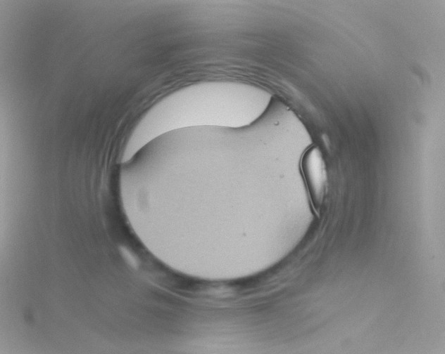 X0000115410217200911241334